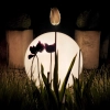Garden-ball-30cm-E27-ogrod