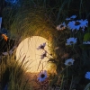 Garden-ball-40cm-E27-klimat